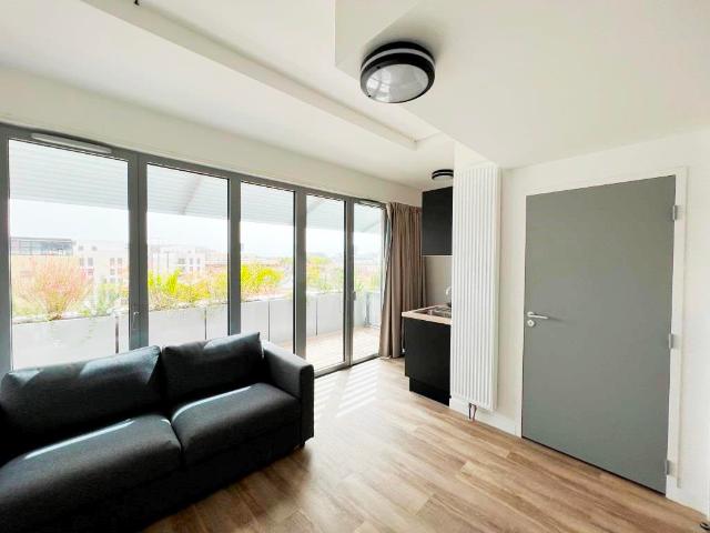 Appartement · Location