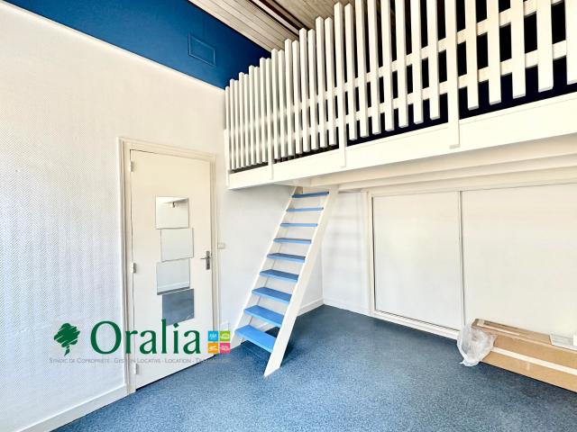 Appartement · Location