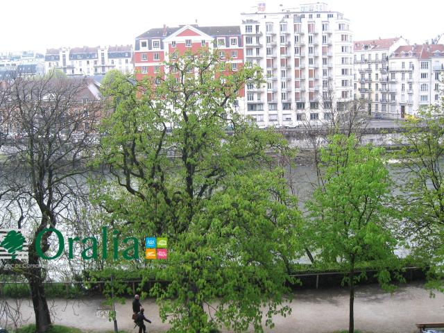 Appartement · Location