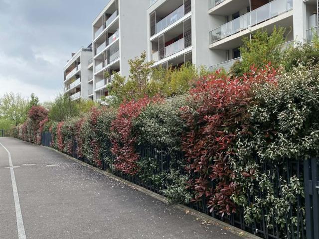 Appartement lumineux 3 chambres avec balcon à Bischheim