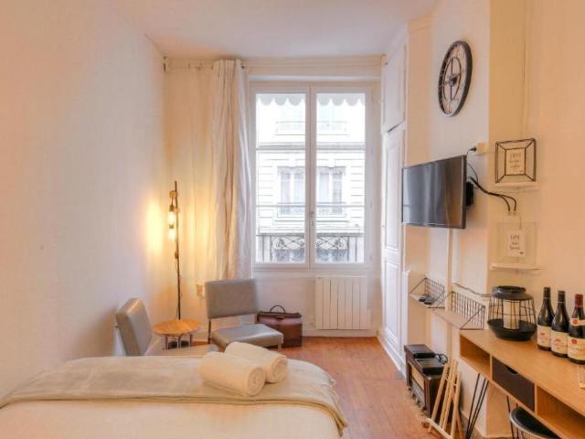 Appartement lumineux avec balcon et terrasse à Lyon