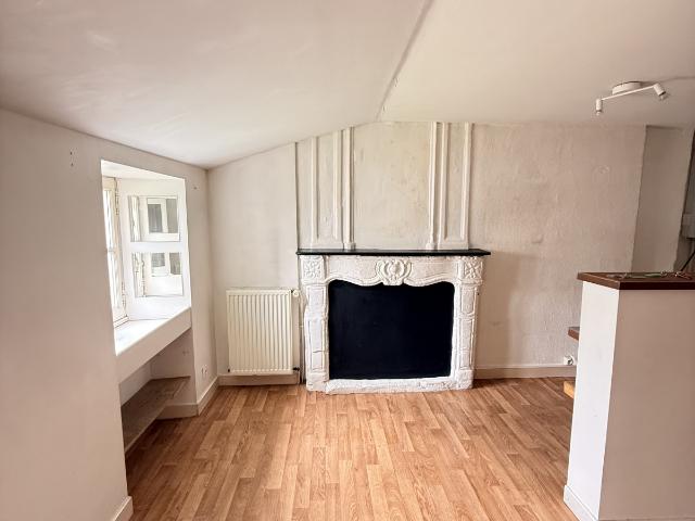 Appartement lumineux avec cheminée au cœur de Nantes