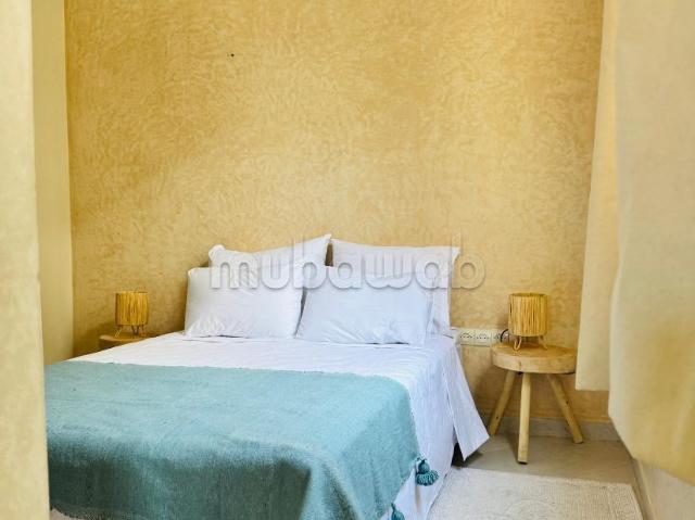 Appartement lumineux avec double terrasse
