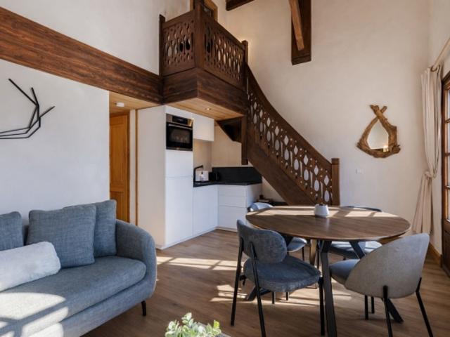 Appartement lumineux en duplex, une chambre + cabine