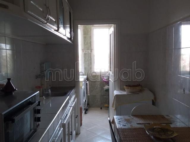 Appartement lumineux et spacieux à louer