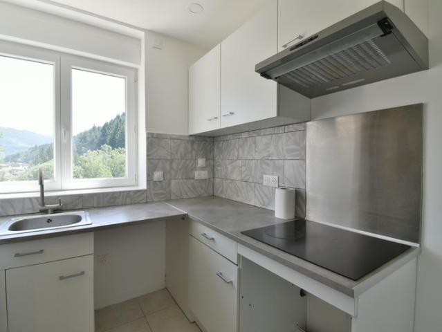 Appartement lumineux, refait à neuf avec balcon SAINT MARTIN DE VALAMAS 07