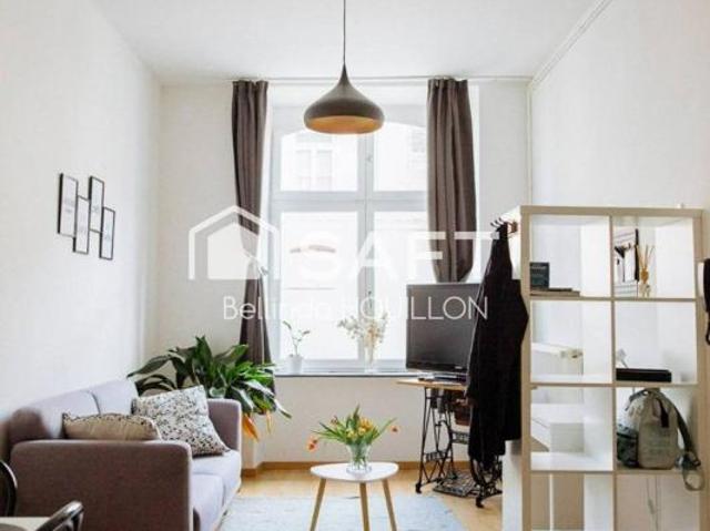 Appartement Lunéville Château