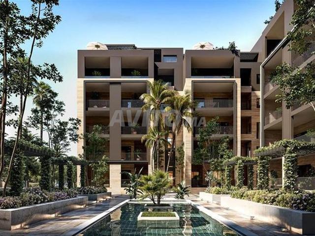 Appartement luxueux à louer