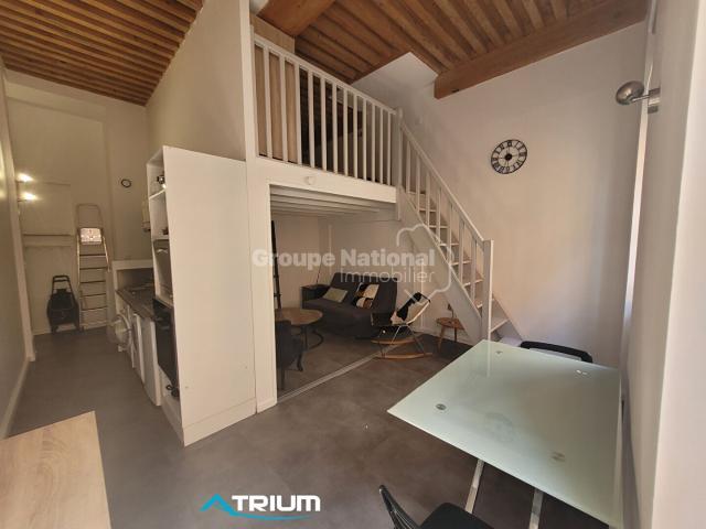 Appartement Lyon 1 pièce s Meublé