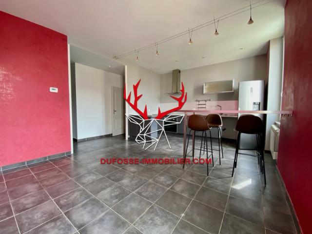 Appartement Lyon 7e sud T2 49 m2