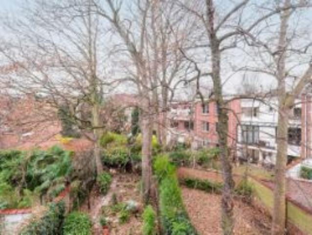 Appartement met uitzicht op 38 kleurrijke papegaaien!