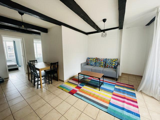 Appartement meublé 3 pièces 44 m²