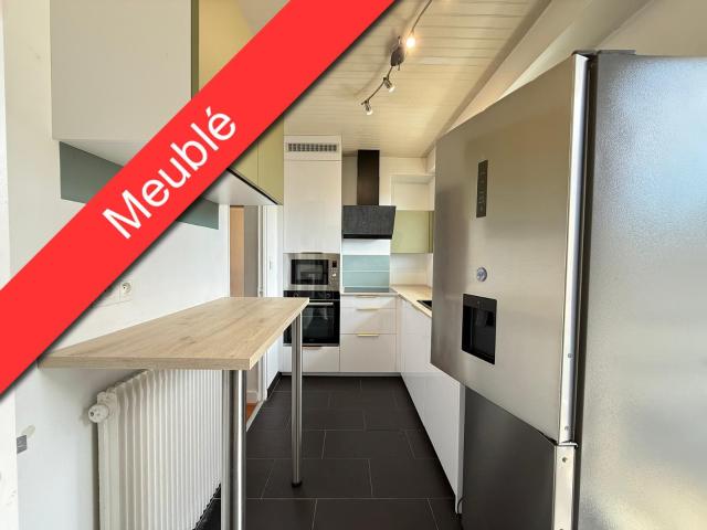 Appartement meublé 3 pièces 77 m²