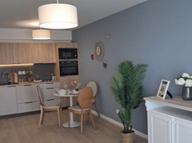 Appartement meublé 1 pièce 41 m²