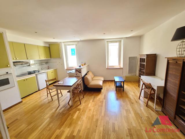 Appartement meublé 1 pièce 42 m²