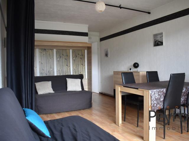 Appartement meublé 1 pièce 42 m²