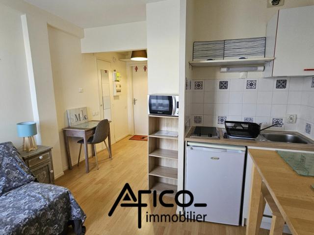 Appartement meublé 1 pièce 17 m²