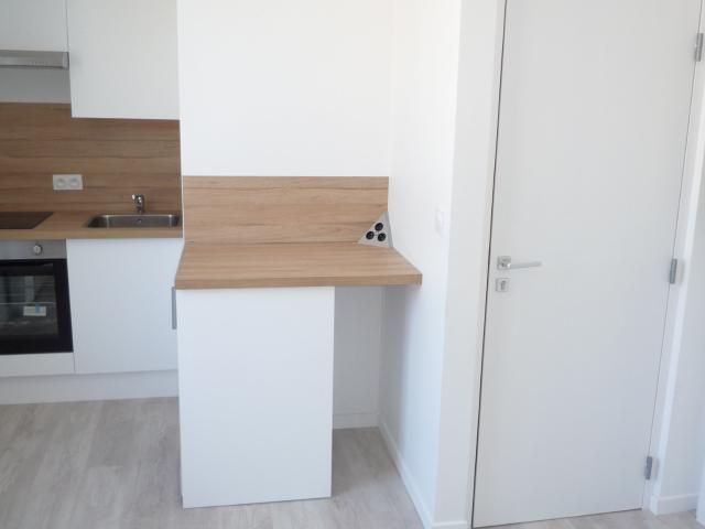 Appartement meublé 1 pièce 17 m²
