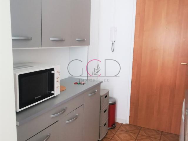 Appartement meublé 1 pièce 17 m²