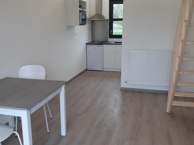 Appartement meublé 1 pièce 20 m²