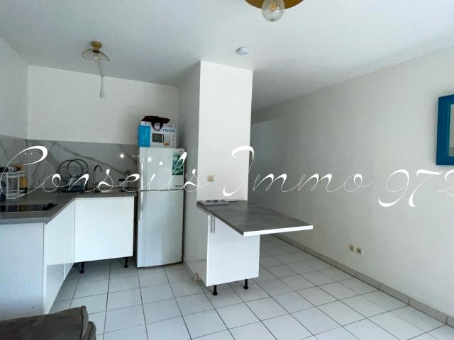 Appartement meublé 1 pièce 21 m²