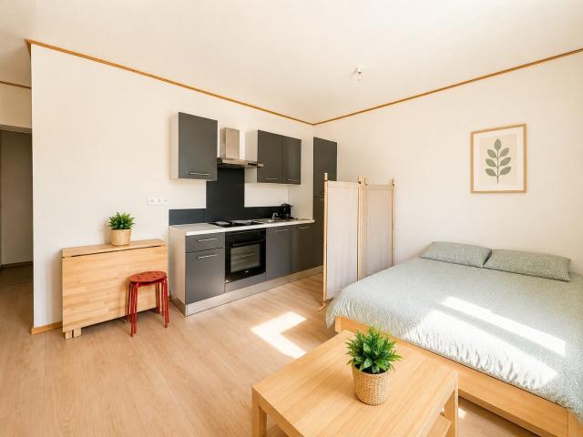 Appartement meublé 1 pièce 22 m²