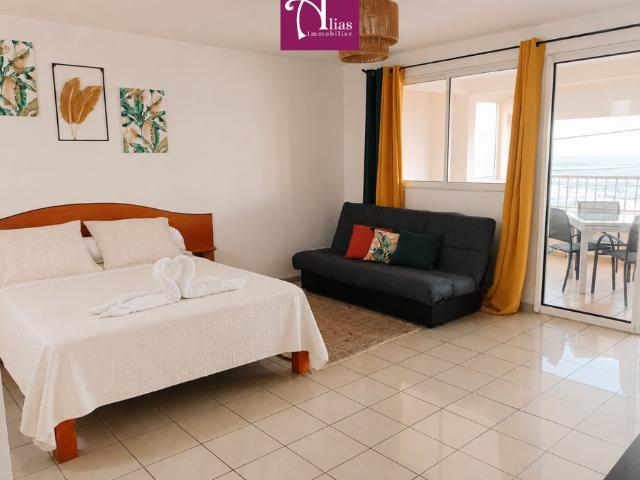 Appartement meublé 1 pièce 27 m²