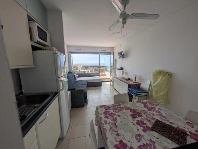 Appartement meublé 1 pièce 27 m²