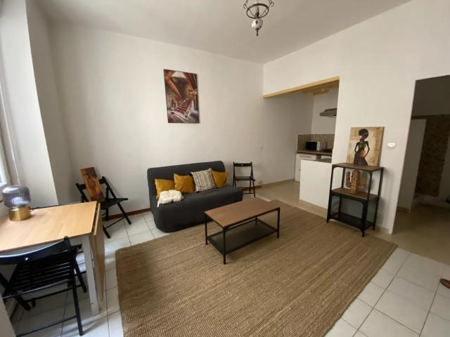 Appartement meublé 1 pièce 24 m²