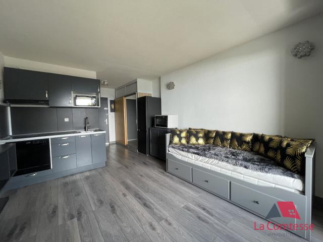 Appartement meublé 1 pièce 28 m²