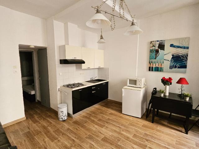 Appartement meublé 1 pièce 28 m²
