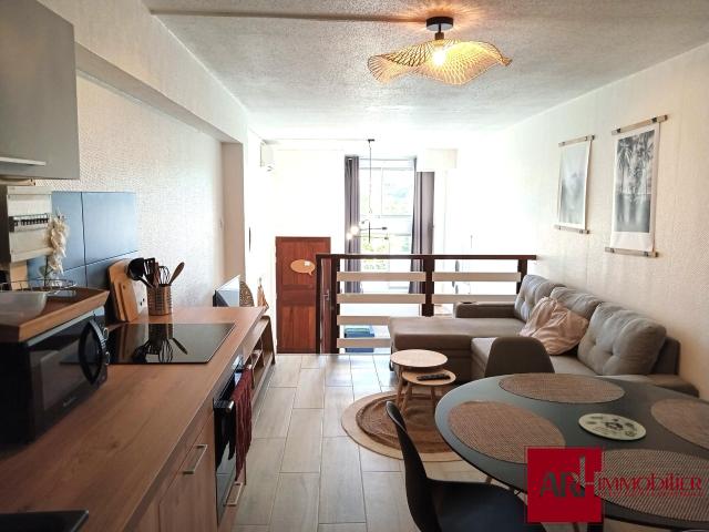Appartement meublé 1 pièce 33 m²