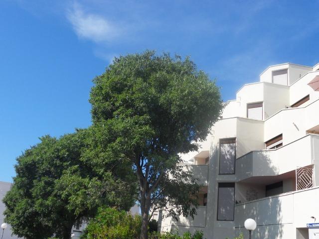 Appartement meublé 1 pièce 30 m²