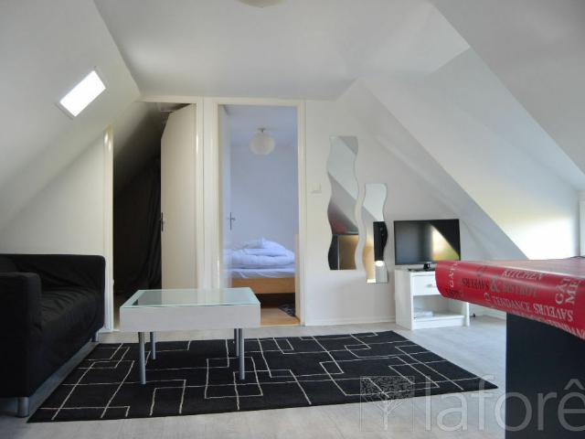 Appartement meublé 2 pièces 20 m²