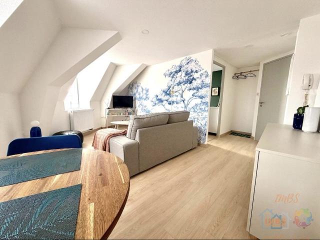 Appartement meublé 2 pièces 31 m²