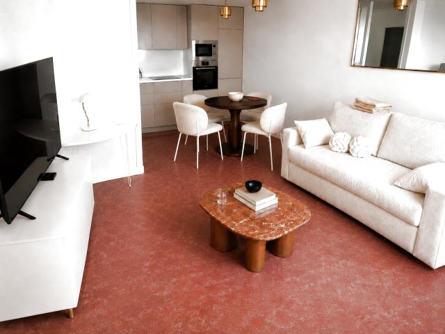 Appartement meublé 2 pièces 45 m²