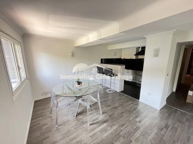 Appartement meublé 2 pièces 46 m²