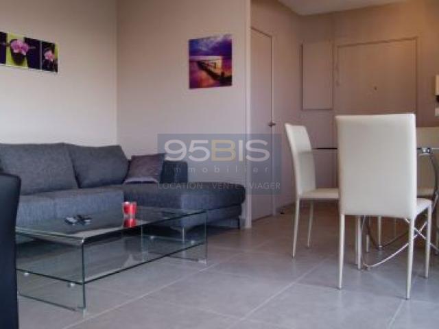 Appartement meublé à louer à lyon 3ème,terrasse garage