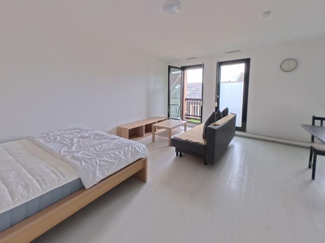 Appartement meublé METZ F1 36,35 m2