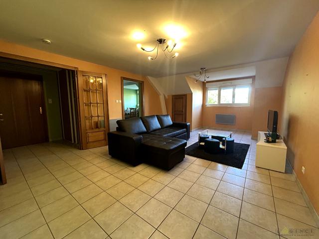 Appartement meublé Saint Die Des Vosges 3 pièce s