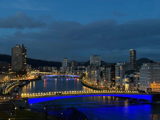 Appartement meublé pour cadres, vue panoramique Liege