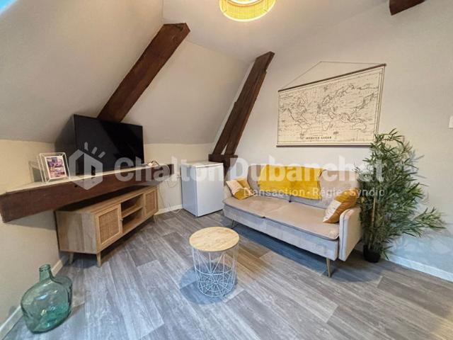 APPARTEMENT MEUBLE Roanne 2 pièce s 18.65 m2
