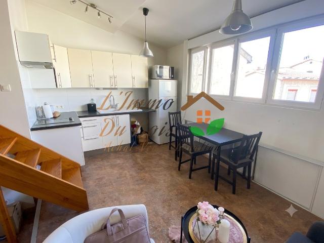 Appartement meublé T1 23.57m2 Vienne