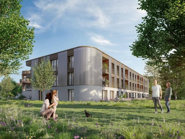 Appartement neuf à louer