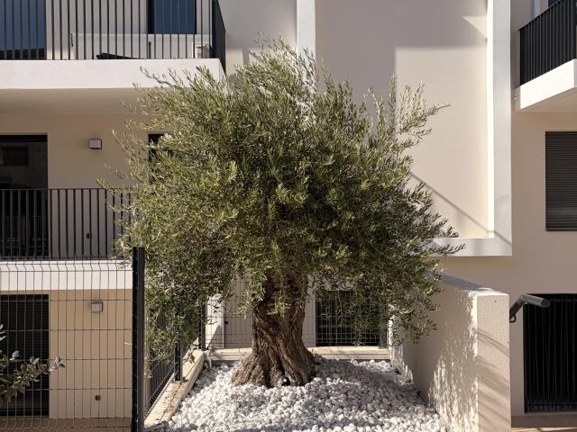 APPARTEMENT NEUF T2 48.85 M2 AUBAGNE