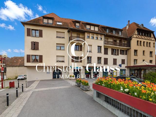 Appartement Obernai 2 pièce s 42 m2