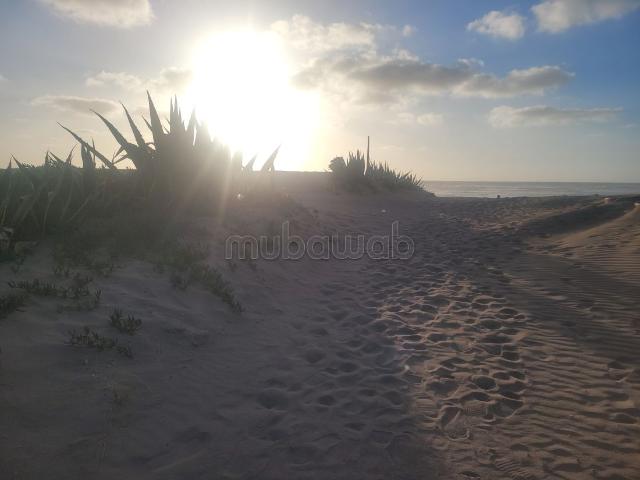 Appartement ola blanca sidi rahal
