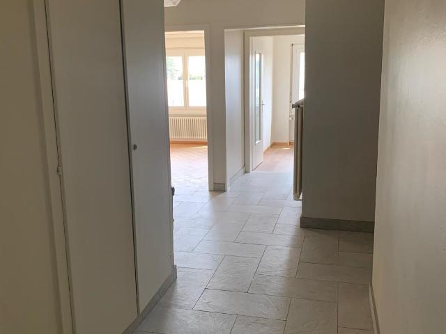 Appartement Payerne 5.5 pièces | dreamo. Ch