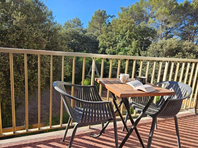 Appartement Peymeinade terrasse