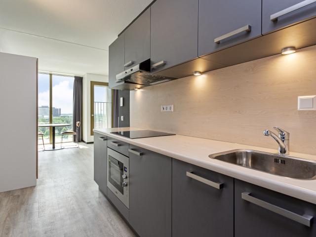 Appartement Pietersbergweg 383 1105 BM Amsterdam